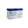 Acumulator litium LiFePO4, EcoWatt 12V-100Ah